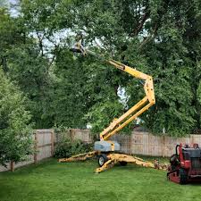 Best Leaf Removal  in Buchanan, GA